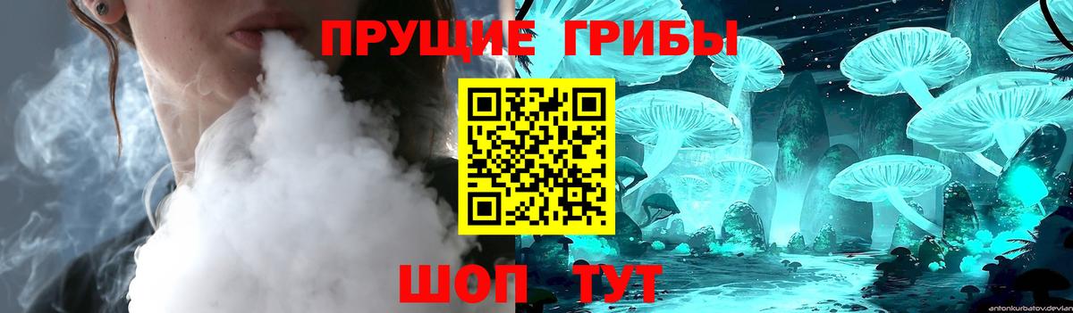 закладки  Псилоцибиновые грибы мицелий  Вход с VPN  Солнечногорск 